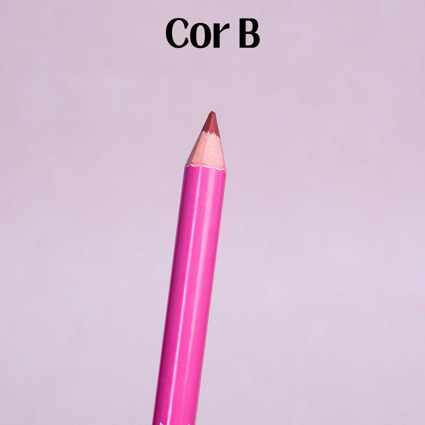 Lápis Labial Delicious